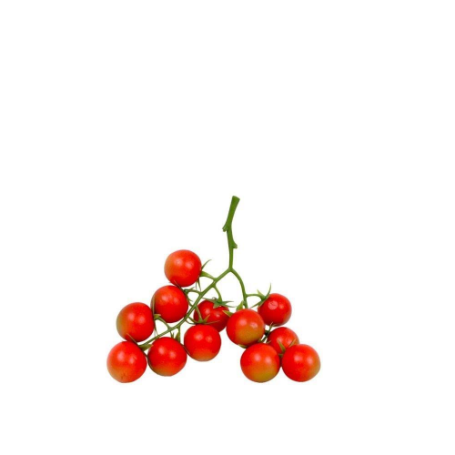 Rajčica mini kg mpc 02.05.= 5,99€