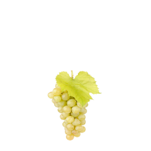 Grožđe bijelo 1 kg mpc 02.05.=5,19€